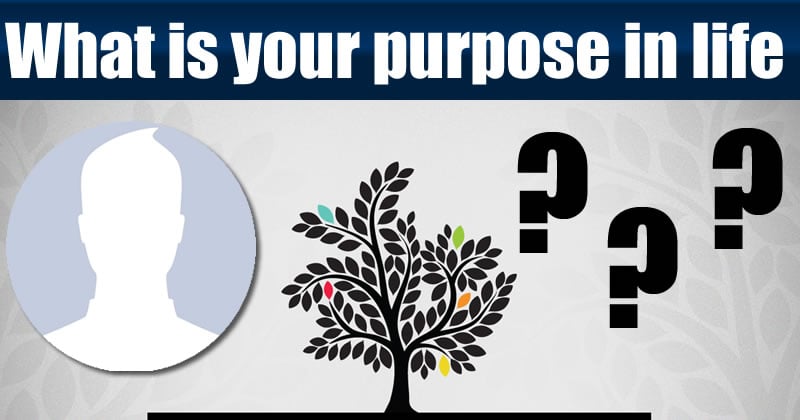 Resultado de imagem para What is your purpose in life?